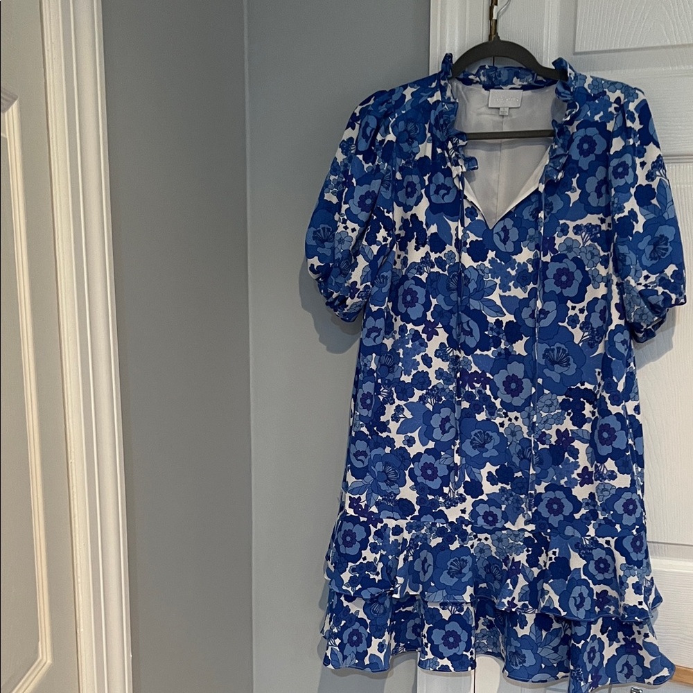 Sugar lips Floral Blue and White Dress